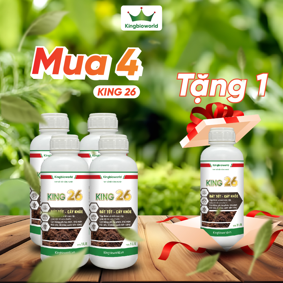 King 26 - Cân bằng pH, cải tạo đất, hạ phèn, giải độc hữu cơ