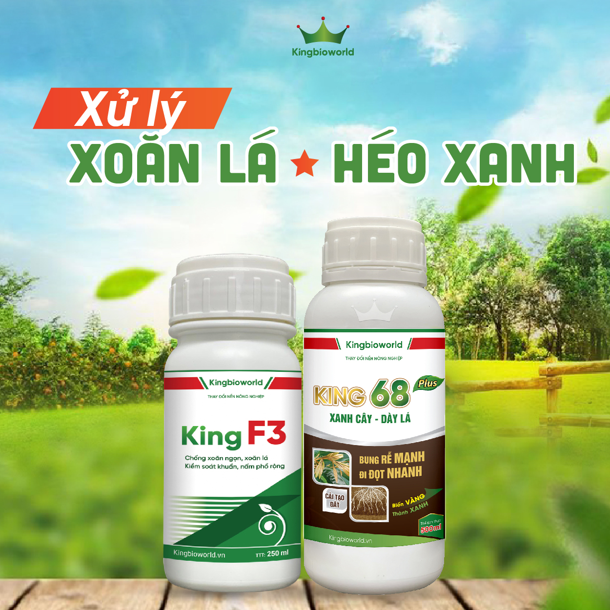 Combo Xử lý Xoăn lá - Héo xanh: King F3 + King 68 Plus Combo Xử lý Xoăn lá - Héo xanh: King F3 + King 68 Plus