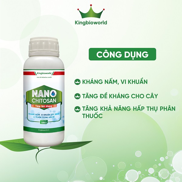 King Nano Chitosan - Kháng nấm, vi khuẩn, tăng đề kháng cho cây, tăng hấp thụ phân thuốc