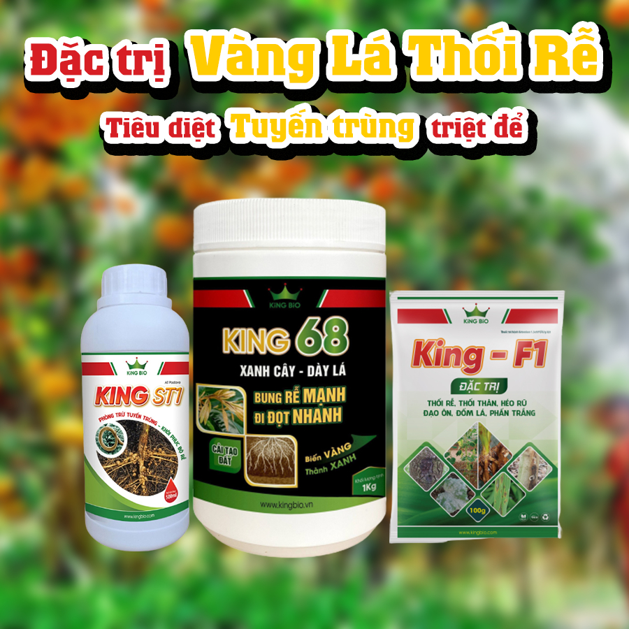 Combo đặc trị vàng lá thôi rễ tuyết trùng dứt điểm King F1, King St1, King 68