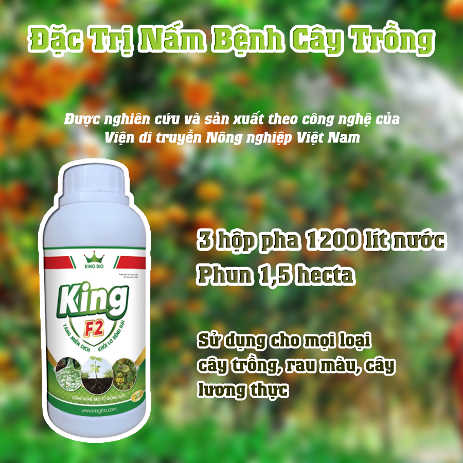 King F2 500ml - Thuốc tiêu diệt nấm bệnh, tăng miễn dịch khỏi lo bệnh hại