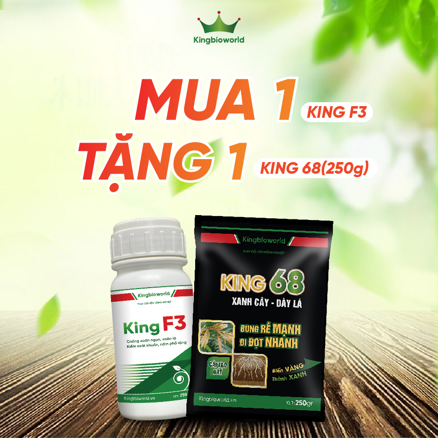 King F3 - Đặc trị xoăn lá, xoăn ngọn, khảm lá, thối nhũn, thán thư, sương mai