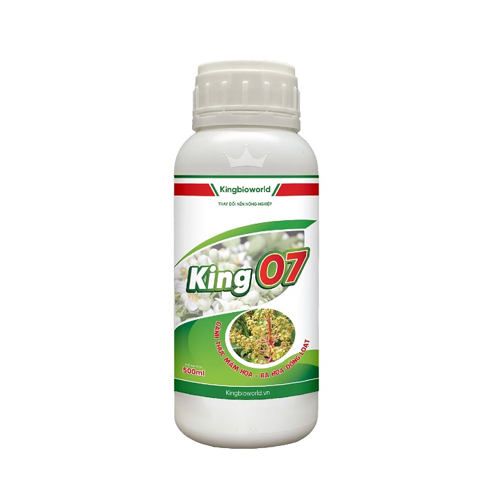 King 07 - Phân hóa mầm hoa, ra hoa đồng loạt, tăng khả năng thụ phấn