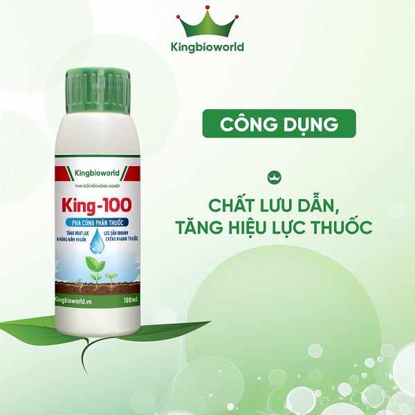 King 100 - Siêu lưu dẫn, tăng hiệu lực thuốc, chống rửa trôi, bốc hơi