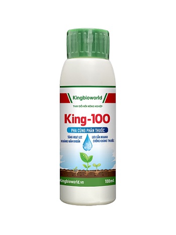 King 100 - Siêu lưu dẫn, tăng hiệu lực thuốc, chống rửa trôi, bốc hơi