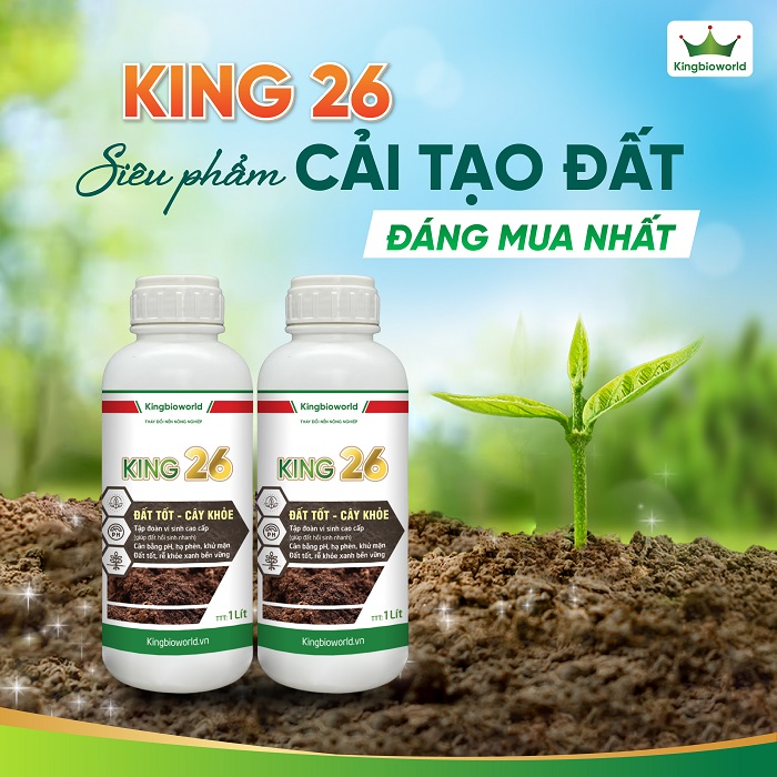 King 26 - Cân bằng pH, cải tạo đất, hạ phèn, giải độc hữu cơ