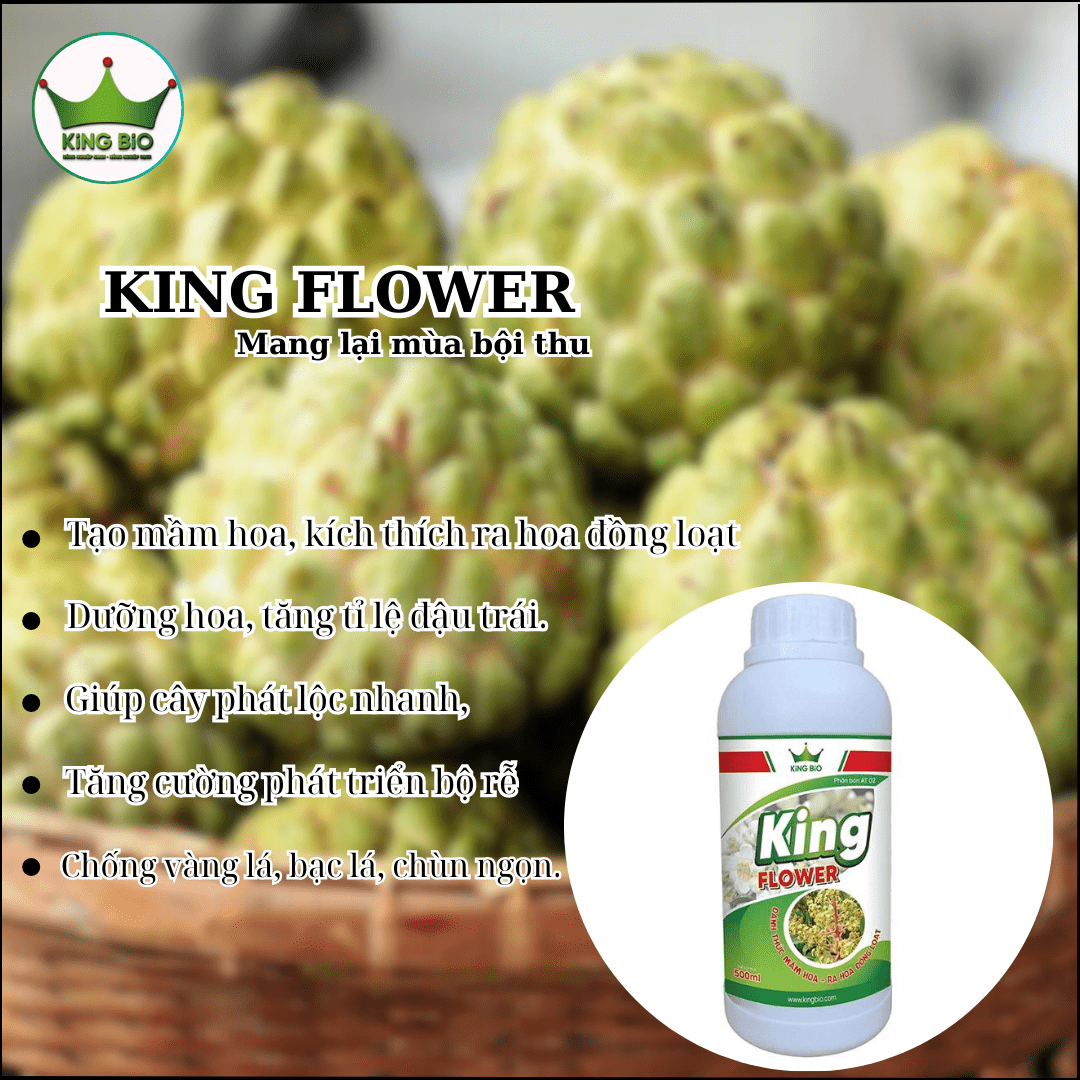 King Flower - Lân hữu cơ sinh học, Đánh thức mầm hoa Ra hoa đồng loạt