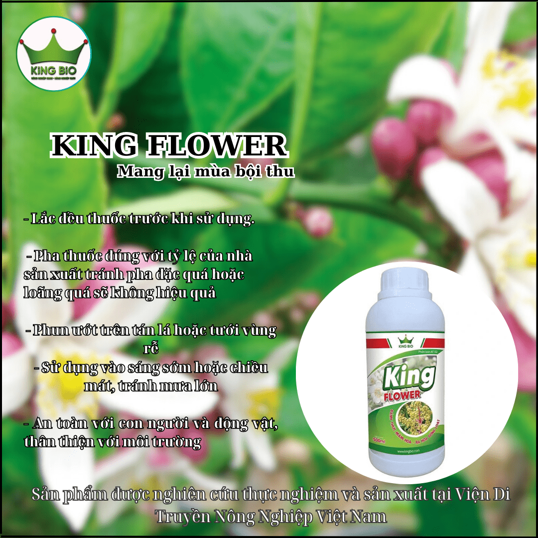 King Flower - Lân hữu cơ sinh học, Đánh thức mầm hoa Ra hoa đồng loạt