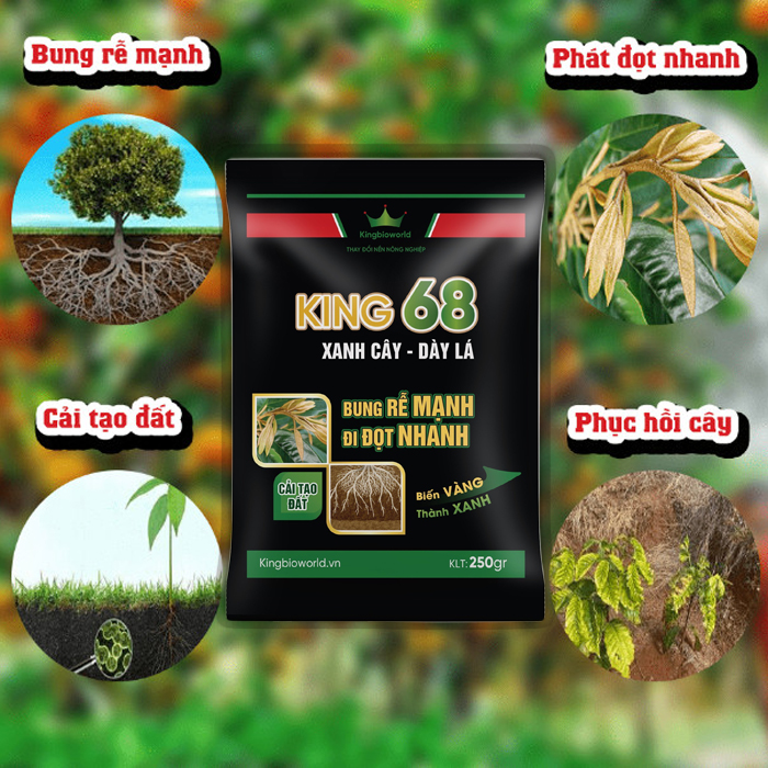 KING 68 250gr - Phân thuốc siêu kích rễ, kích đọt, xanh cây dầy lá, cải tạo đất, phục hồi câ