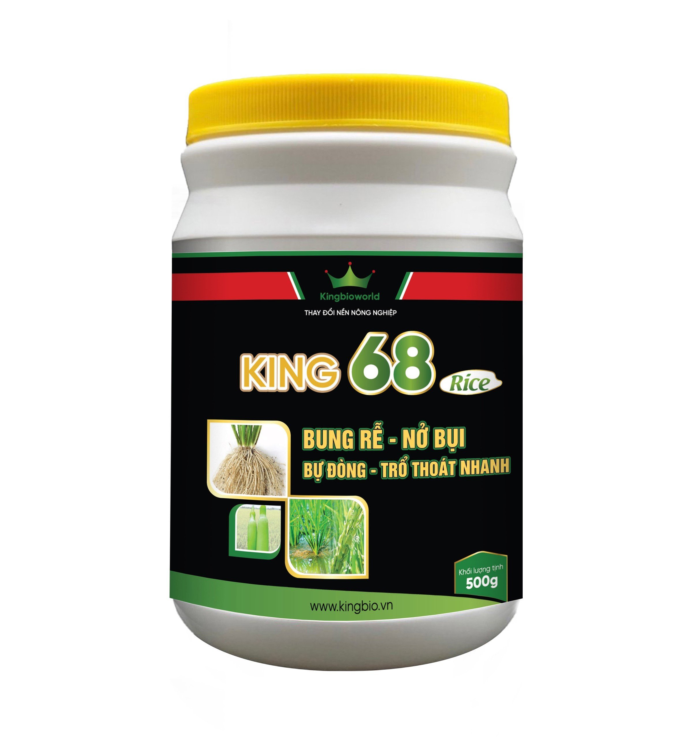 King 68 Rice - Thuốc kích rễ, Nở bụi to, đẻ nhánh nhanh, kích to đòng, bự đòng trổ thoát nhanh