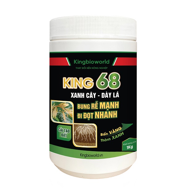King 68 - Bung rễ mạnh, bật chồi nhanh, phát đọt, cải tạo đất, giải độc hữu cơ King 68 - Bung rễ mạnh, bật chồi nhanh, phát đọt, cải tạo đất, giải độc hữu cơ