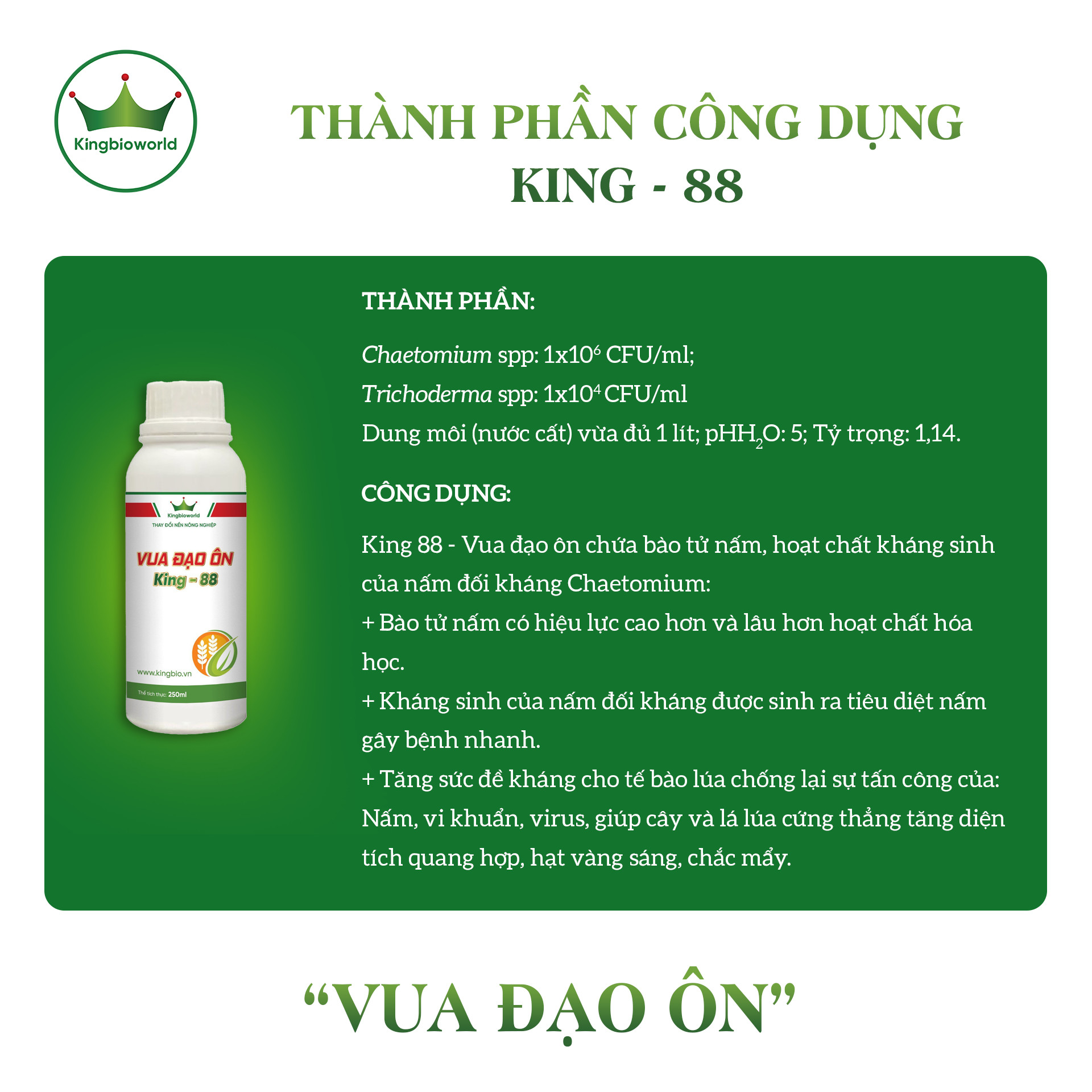 King 88 - Vua đạo ôn, Phòng trừ và tiêu diệt nấm đạo ôn lá, đạo ôn cổ bông từ sinh học