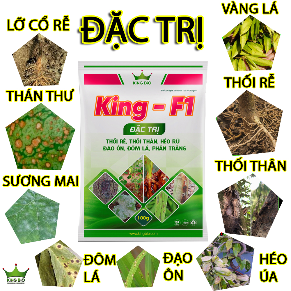 King F1 - Trị thối rễ, thối thân, héo rũ, đạo ôn, đốm lá, phấn trắng.