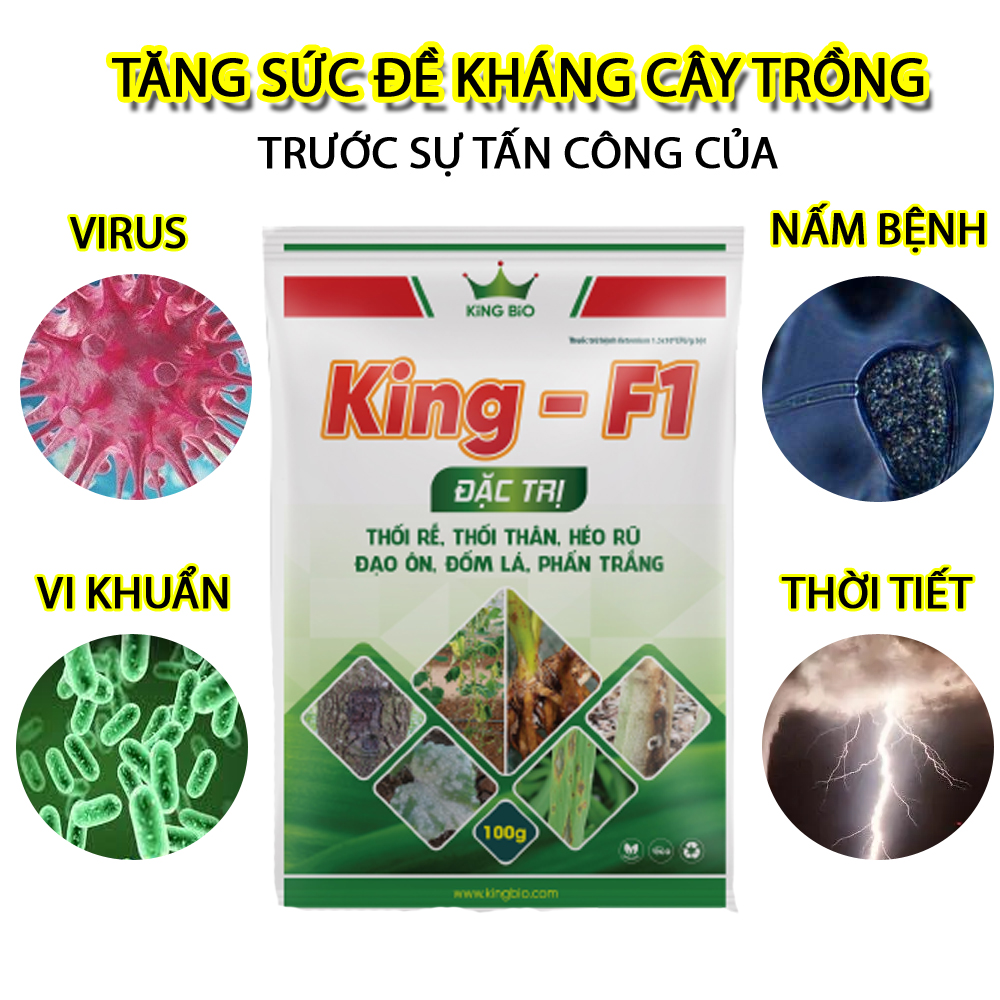 King F1 - Trị thối rễ, thối thân, héo rũ, đạo ôn, đốm lá, phấn trắng.