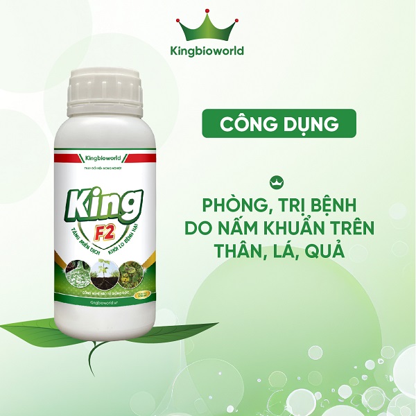 King F2 - Đặc trị bệnh do nấm khuẩn trên thân, lá, quả: thán thư, thối thân xì mủ,...