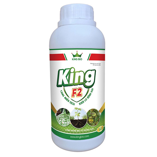 King F2 500ml - Thuốc tiêu diệt nấm bệnh, tăng miễn dịch khỏi lo bệnh hại