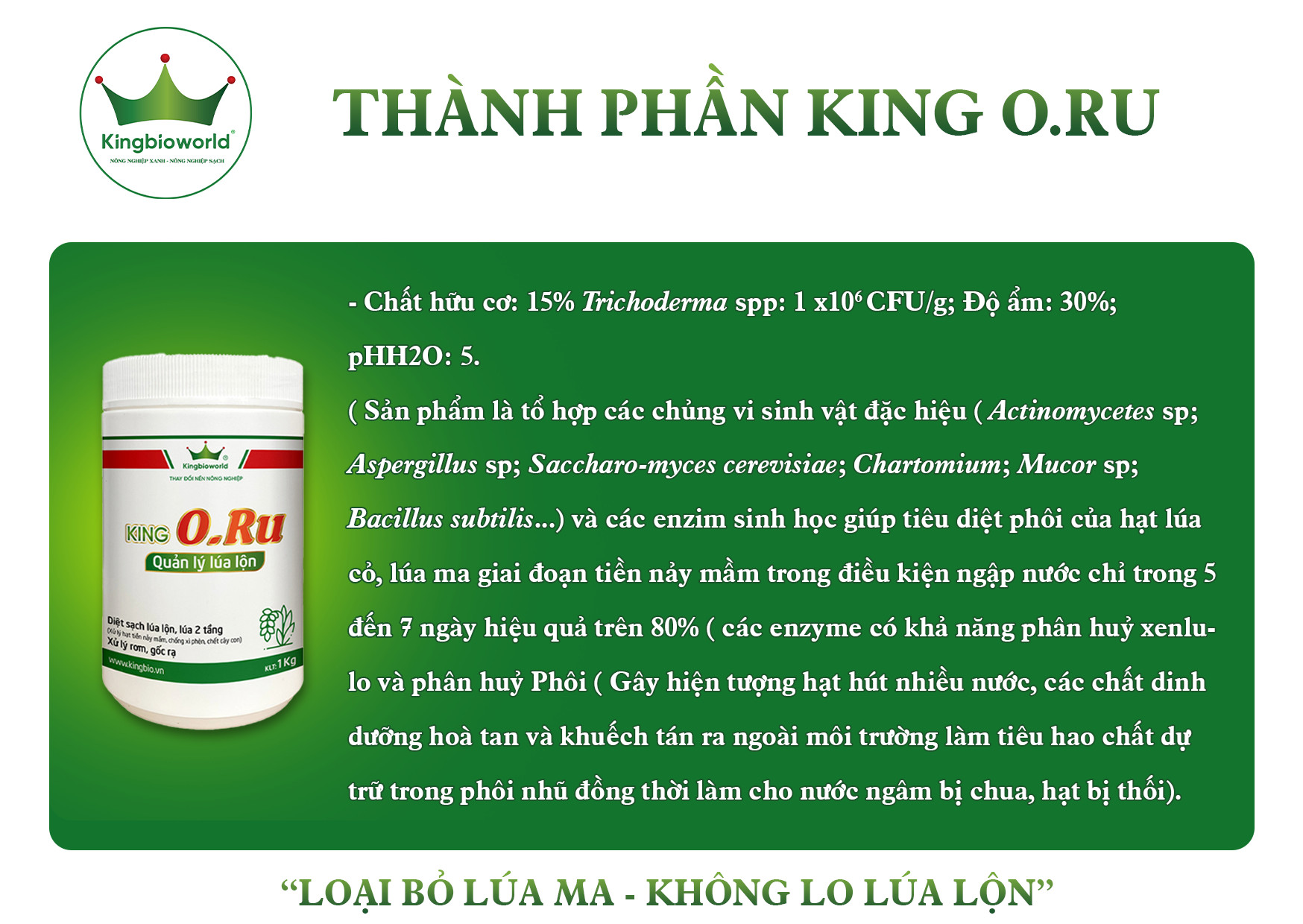 king-oru-thuoc-quan-ly-lua-lon-tieu-diet-lua-ma-lua-co-lua-2-tang-triet-de-1