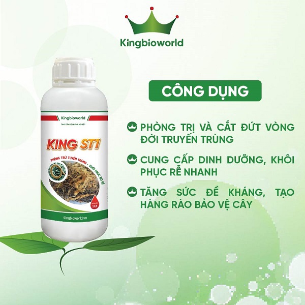 Combo Đặc trị Tuyến trùng - Cải tạo đất: King ST1 - King 26