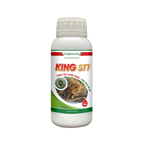 King ST1 - Phòng trị tuyến trùng, cắt đứt vòng đời, tạo hàng rào bảo vệ cây