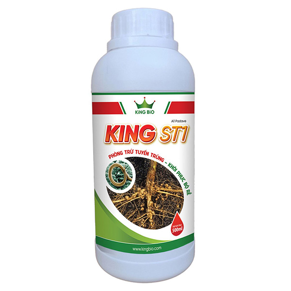 King ST1 - Phòng trừ tuyến trùng, Khôi phục bộ rễ, cải tạo đất