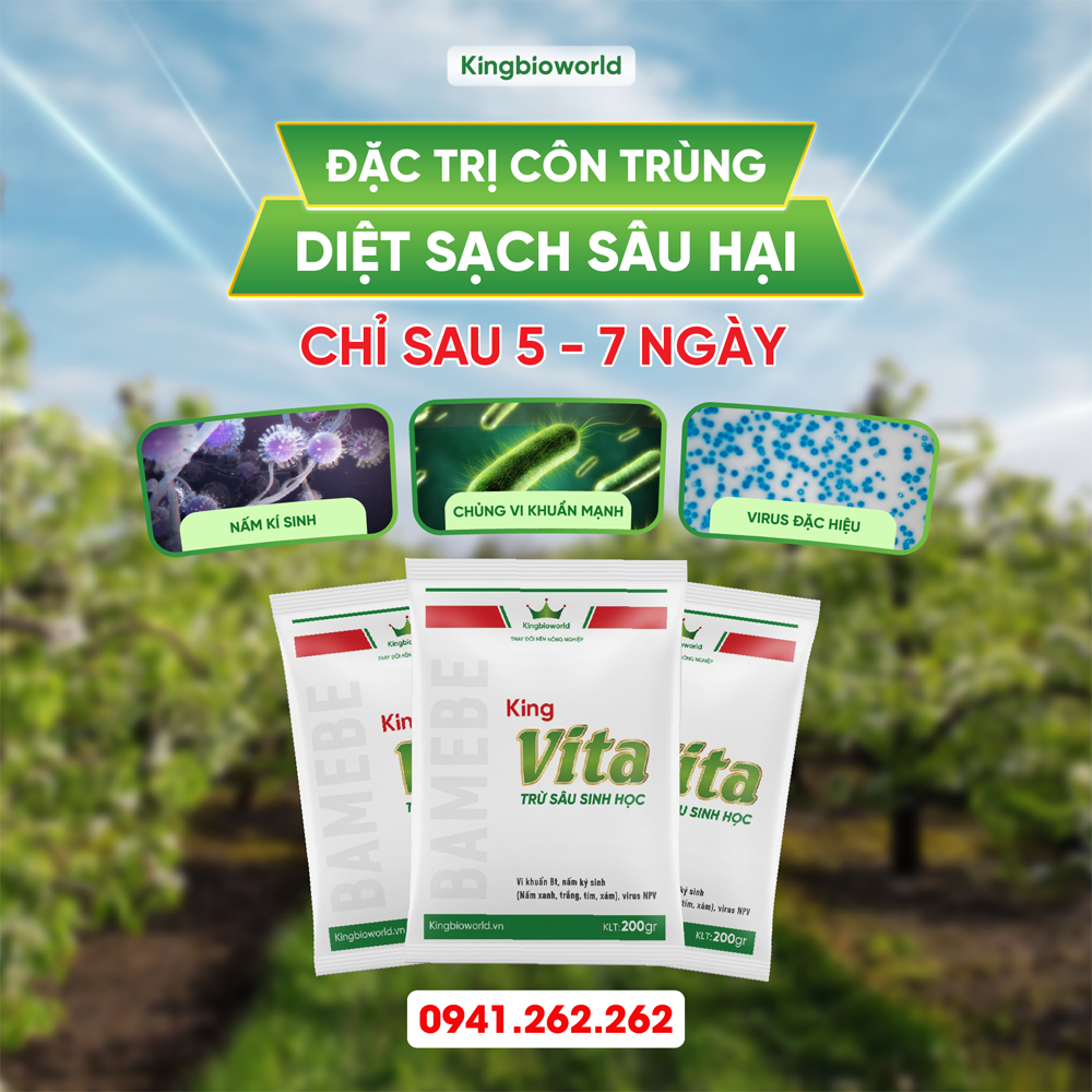 King Vita 200g - Trừ sâu sinh học, diệt trừ côn trùng gây hại Rầy, rệp, bọ trĩ, bọ xít, nhện đỏ