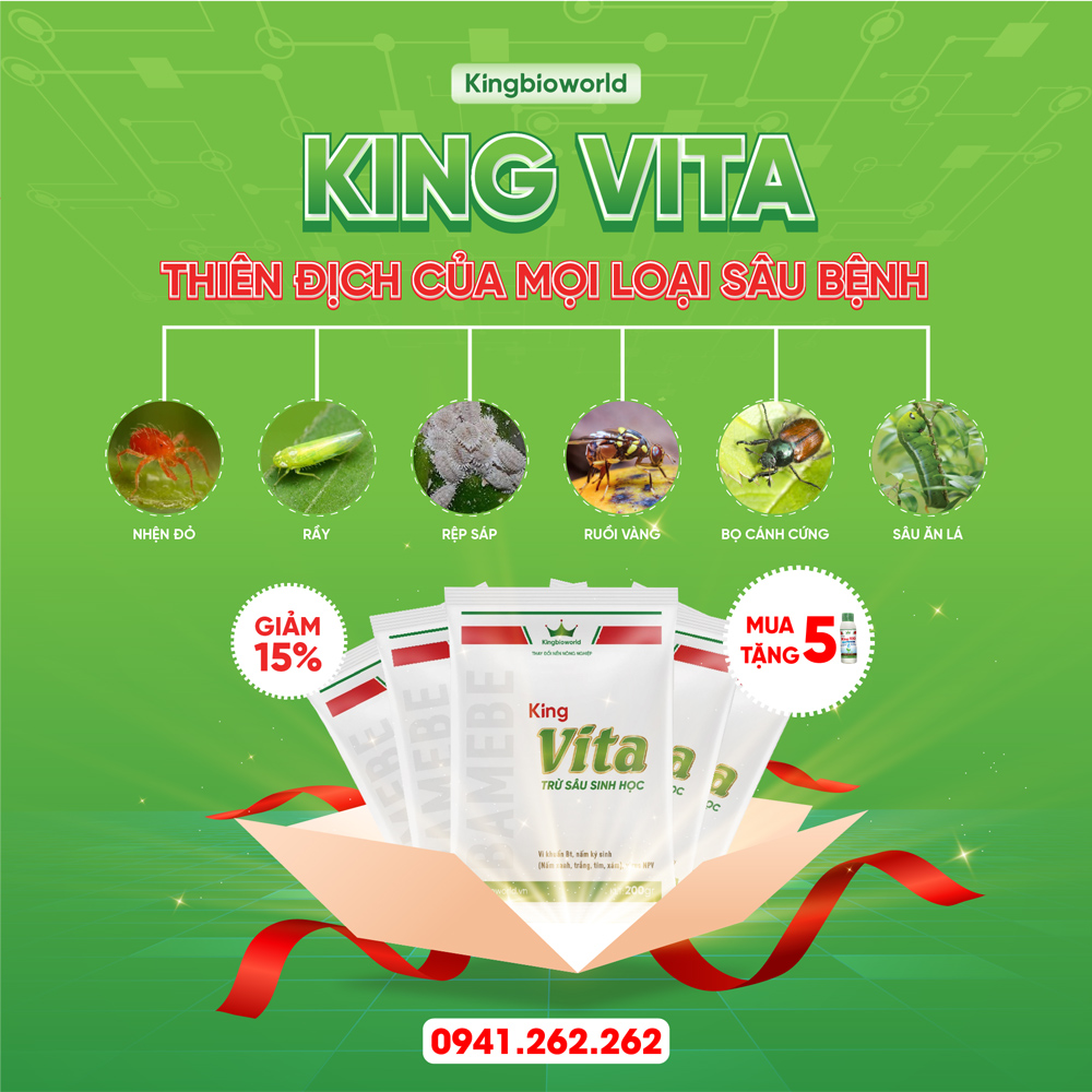 King Vita 200g - Trừ sâu sinh học, diệt trừ côn trùng gây hại Rầy, rệp, bọ trĩ, bọ xít, nhện đỏ