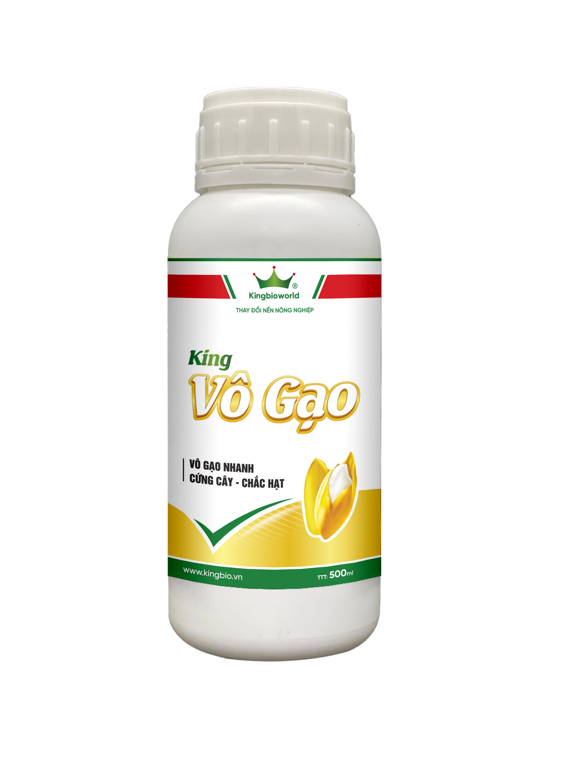King Vô Gạo - To đòng, vào gạo nhanh, bông chắc hạt mẩy