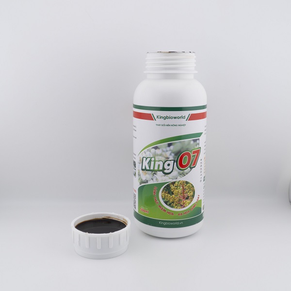 King 07 - Phân hóa mầm hoa, ra hoa đồng loạt, tăng khả năng thụ phấn