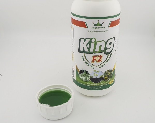 King F2 - Đặc trị bệnh do nấm khuẩn trên thân, lá, quả: thán thư, thối thân xì mủ,...