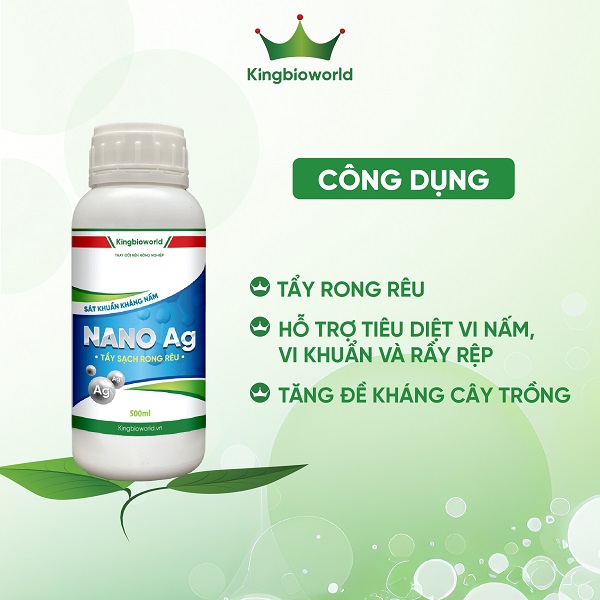 King Nano Ag - Tẩy rong rêu, tăng đề kháng, phụ trợ xử lý nấm bệnh, rầy rệp