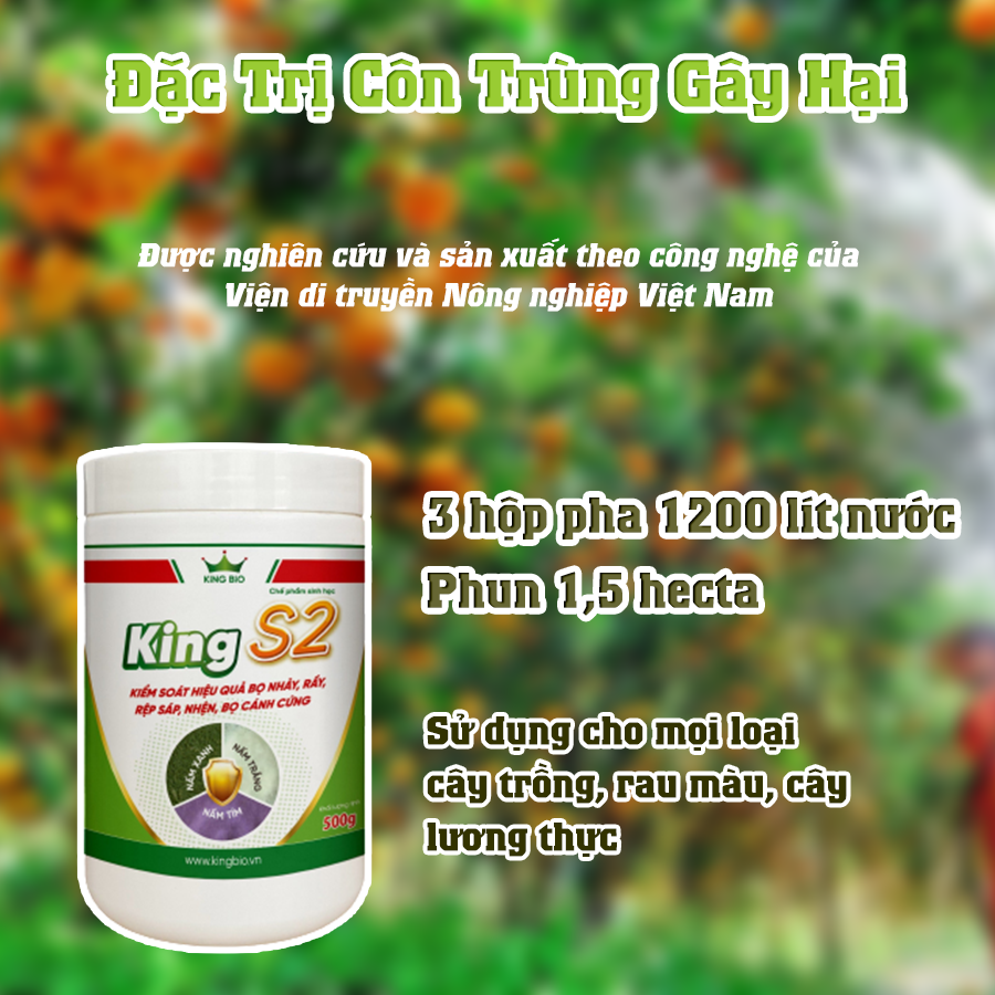 King S2 - Chế phẩm sinh học, Tiêu diệt bọ trĩ, bọ nhảy, rầy, rệp sáp, nhện, bọ cánh cứng