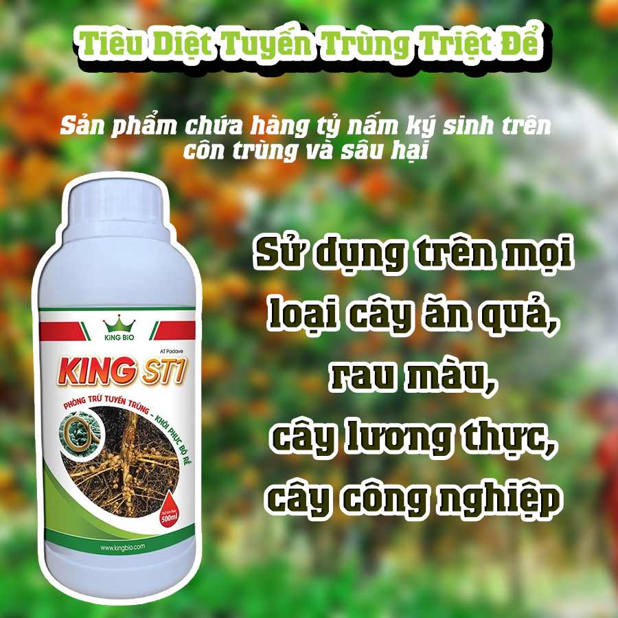 King ST1 - Phòng trừ tuyến trùng, Khôi phục bộ rễ, cải tạo đất