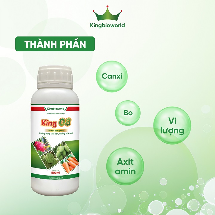 King 08 - Tăng tỷ lệ đậu trái, chống rụng trái non, xanh gai, chống nứt vỡ trái