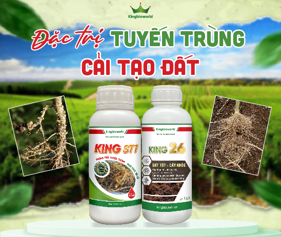 Kingbioworld - Chế phẩm sinh học cho cây trồng