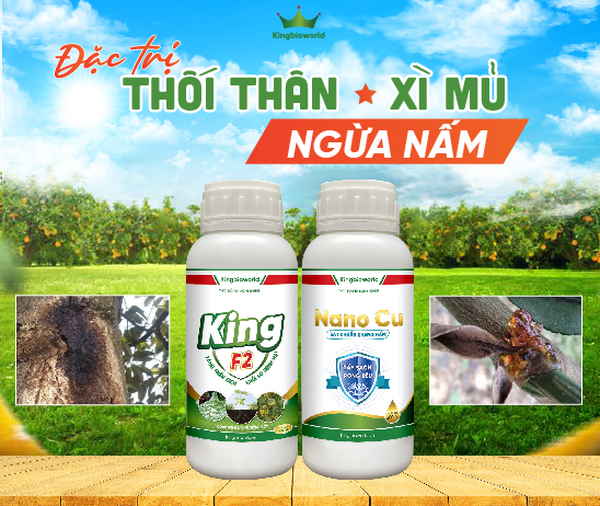 Công ty cổ phần tập đoàn KING BIO Phân thuốc sinh học cho cây trồng