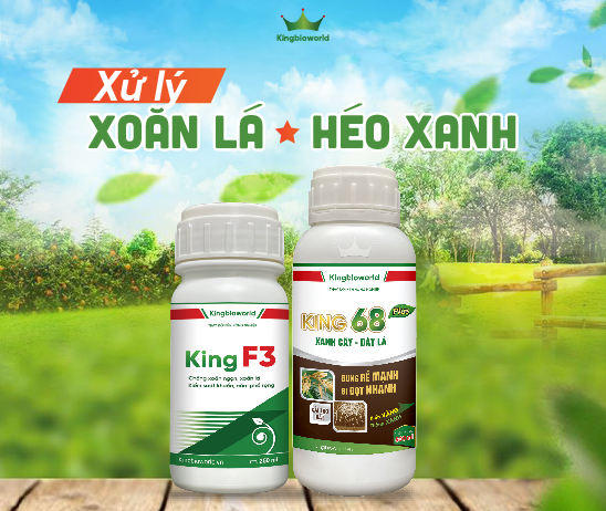 Công ty cổ phần tập đoàn KING BIO Phân thuốc sinh học cho cây trồng