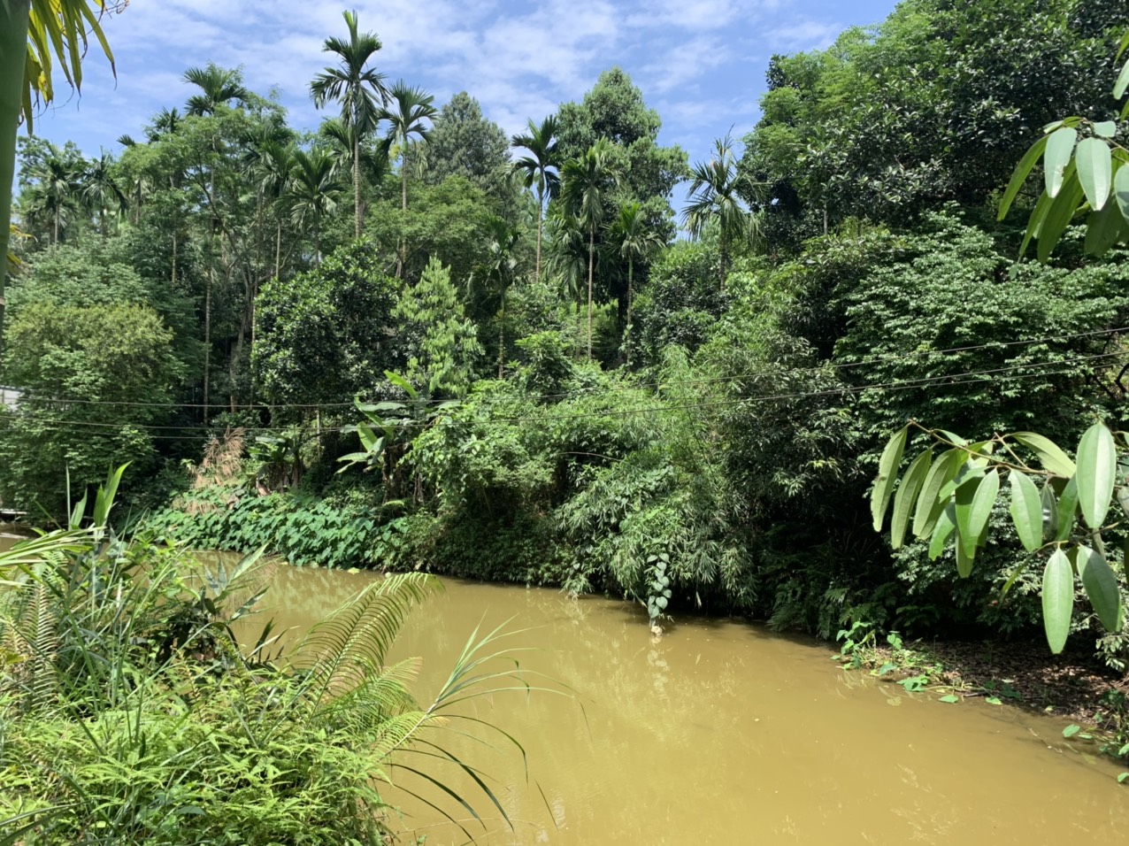 Bán trang trại rộng 6000m2 Văn Phú Yên Bái, 300m2 thổ cư, có vườn & ao