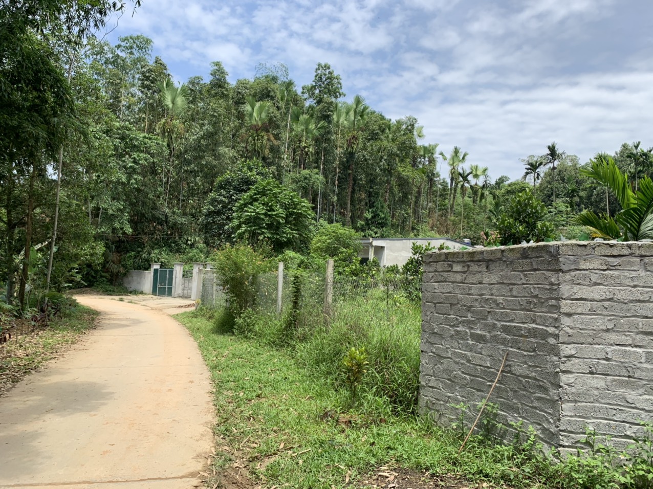 Bán trang trại rộng 6000m2 Văn Phú Yên Bái, 300m2 thổ cư, có vườn & ao