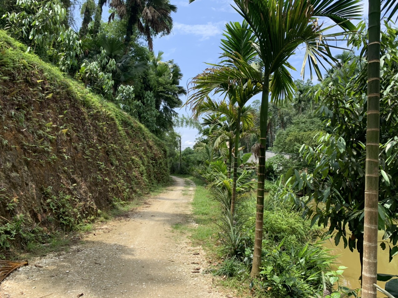 Bán trang trại rộng 6000m2 Văn Phú Yên Bái, 300m2 thổ cư, có vườn & ao