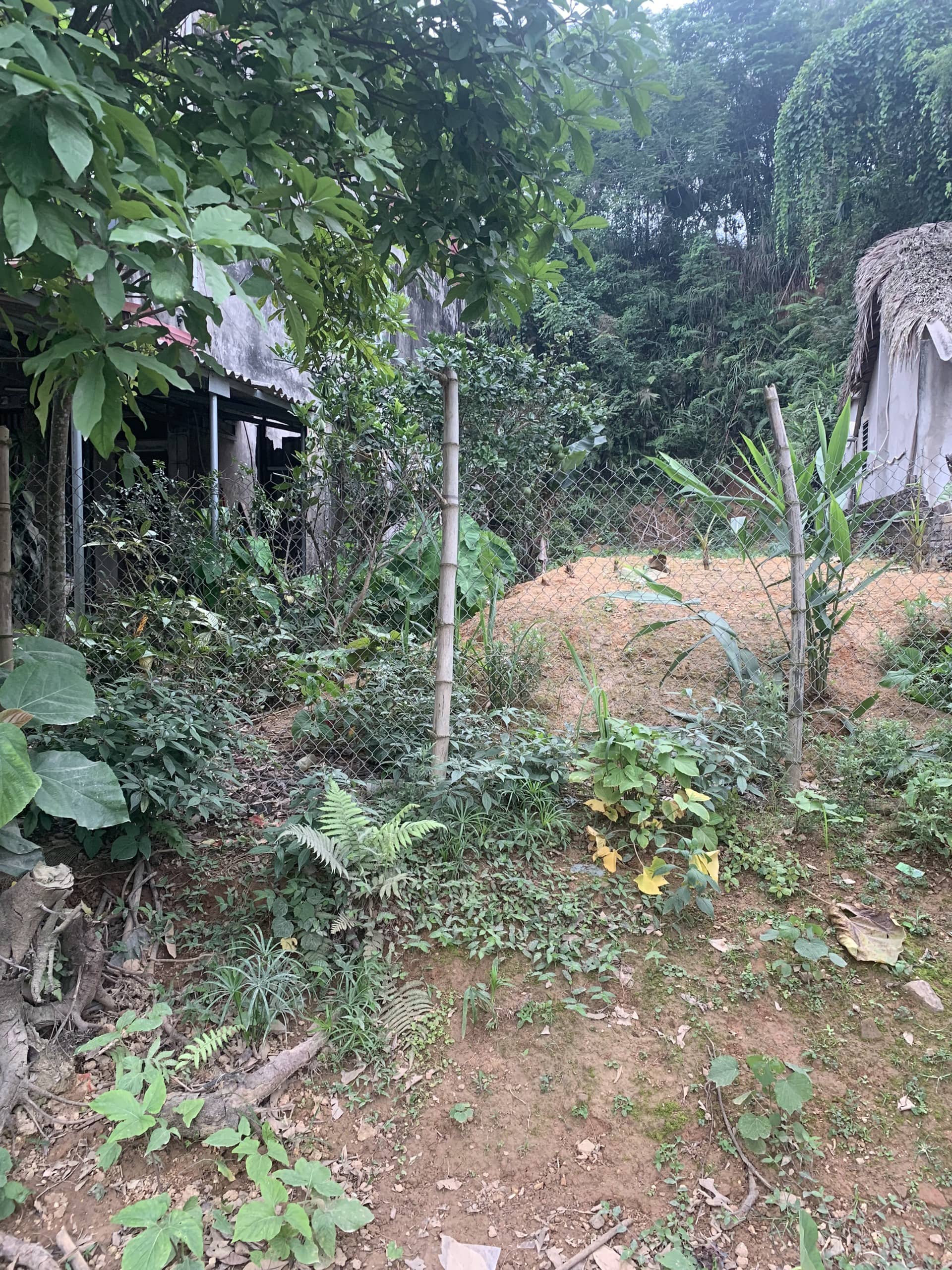 Bán mảnh đất đầu tư sinh lời cao mặt đường quốc lộ trục Yên Bái - Văn Tiến