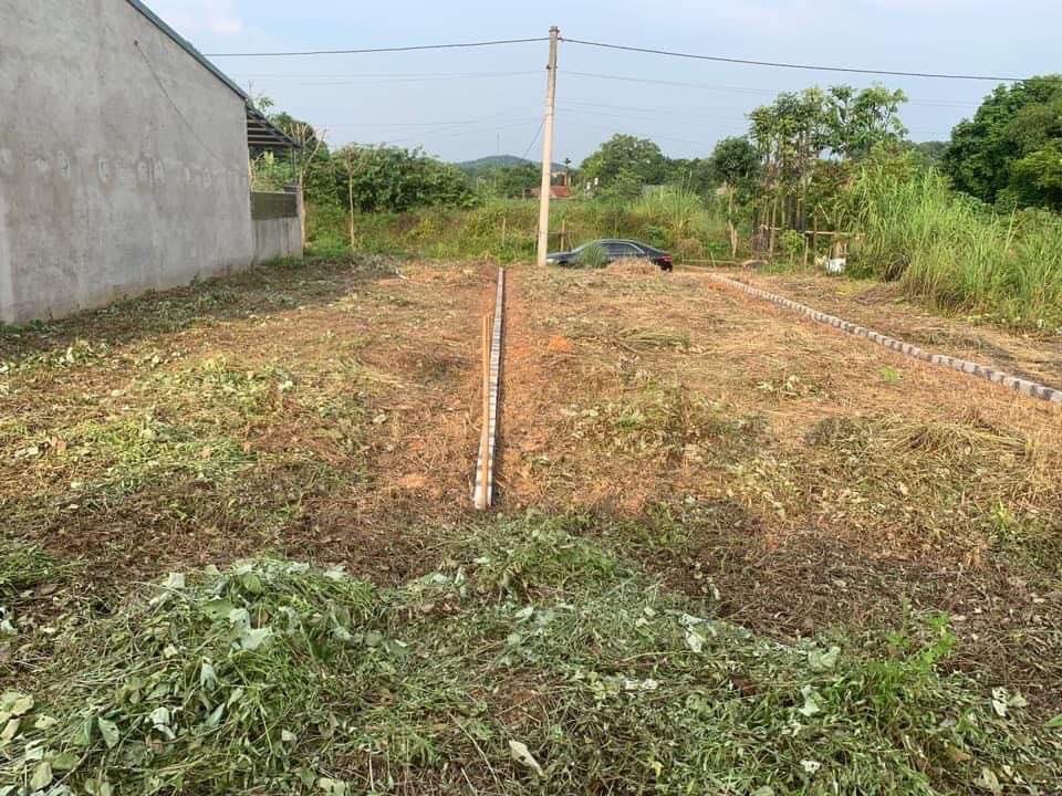 Bán 2 lô đất liền kề cổng phụ CSCĐ tổ 8 Phường Yên Thịnh.