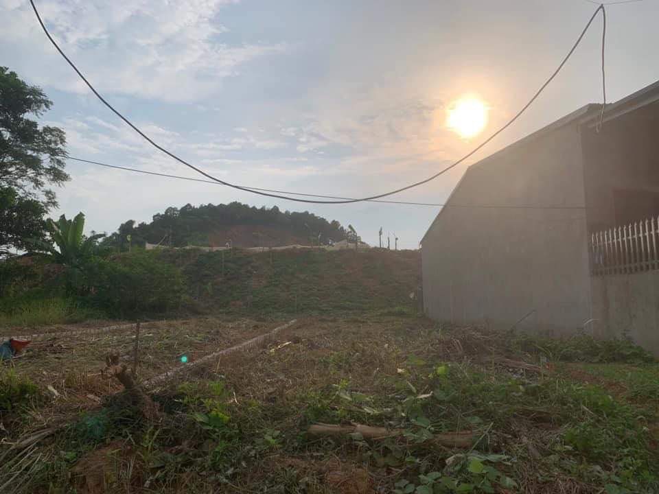 Bán 2 mảnh đất liền kề tổ 8 Phường Yên Thịnh, cách đường Trần Phú 100m.