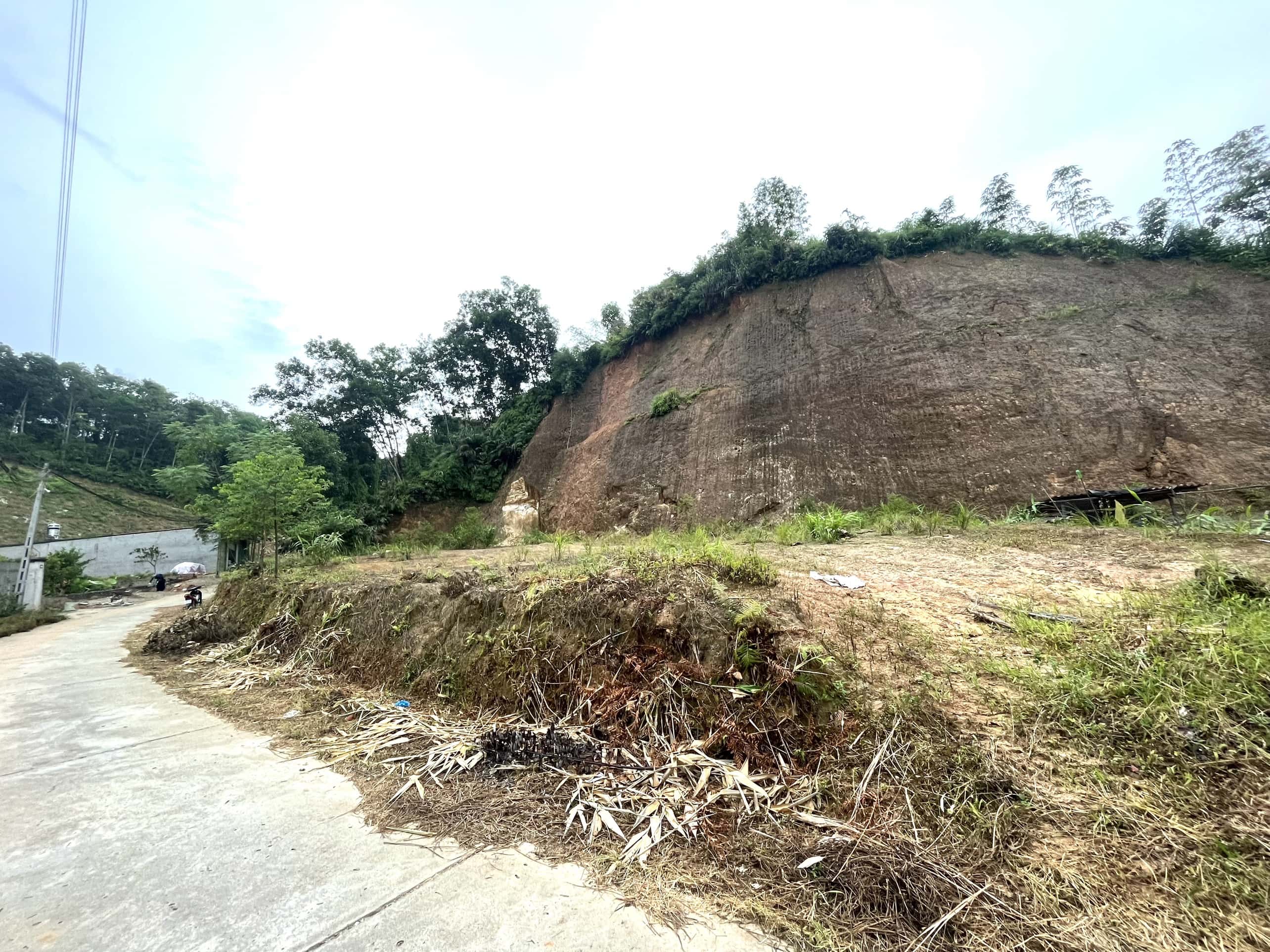 Bán lô đất 1586m2 rừng đã có mặt bằng 1000m2 mặt tiền 51m cách mặt đường Yên Ninh 300m