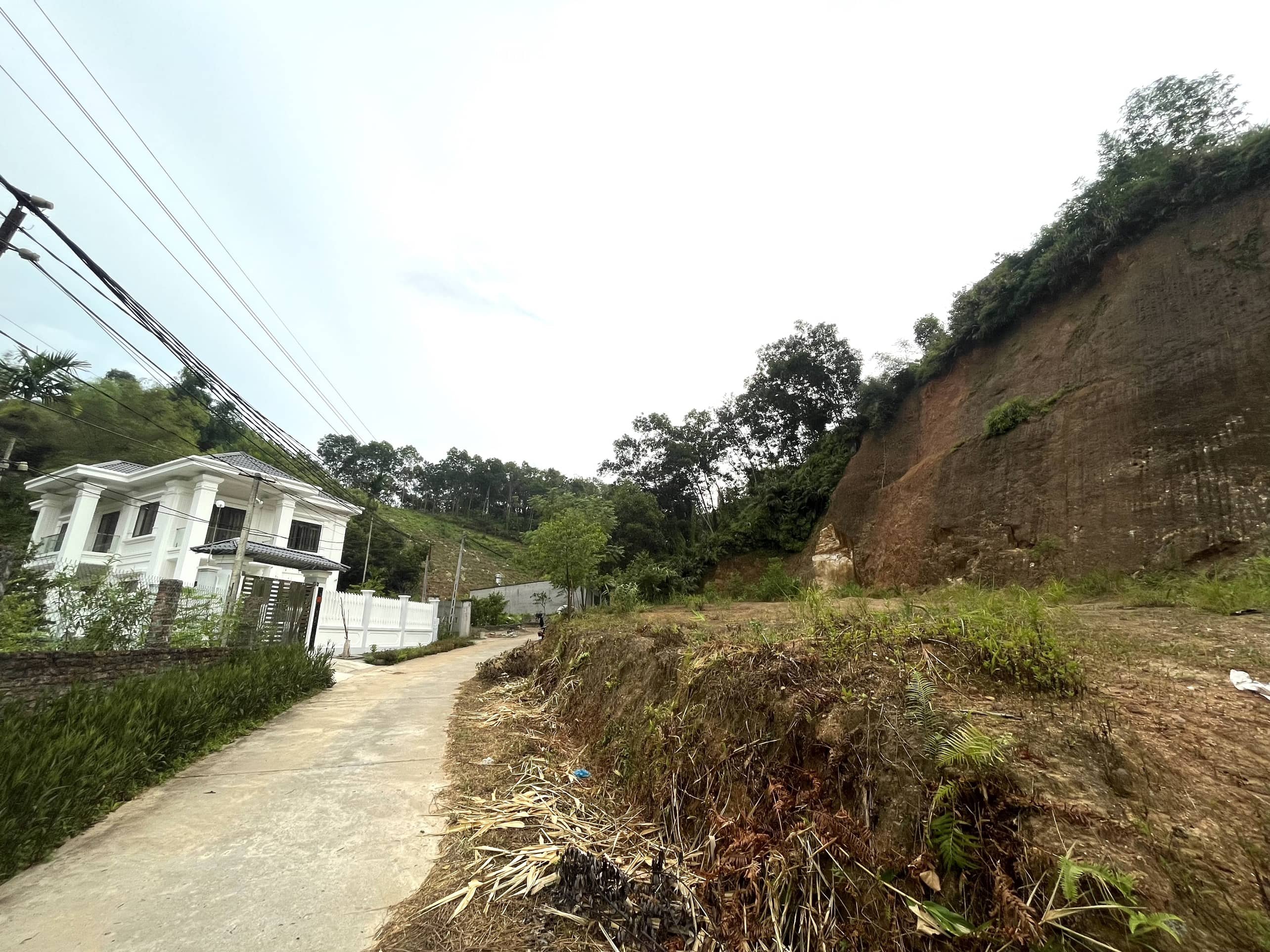 Bán lô đất 1586m2 rừng đã có mặt bằng 1000m2 mặt tiền 51m cách mặt đường Yên Ninh 300m