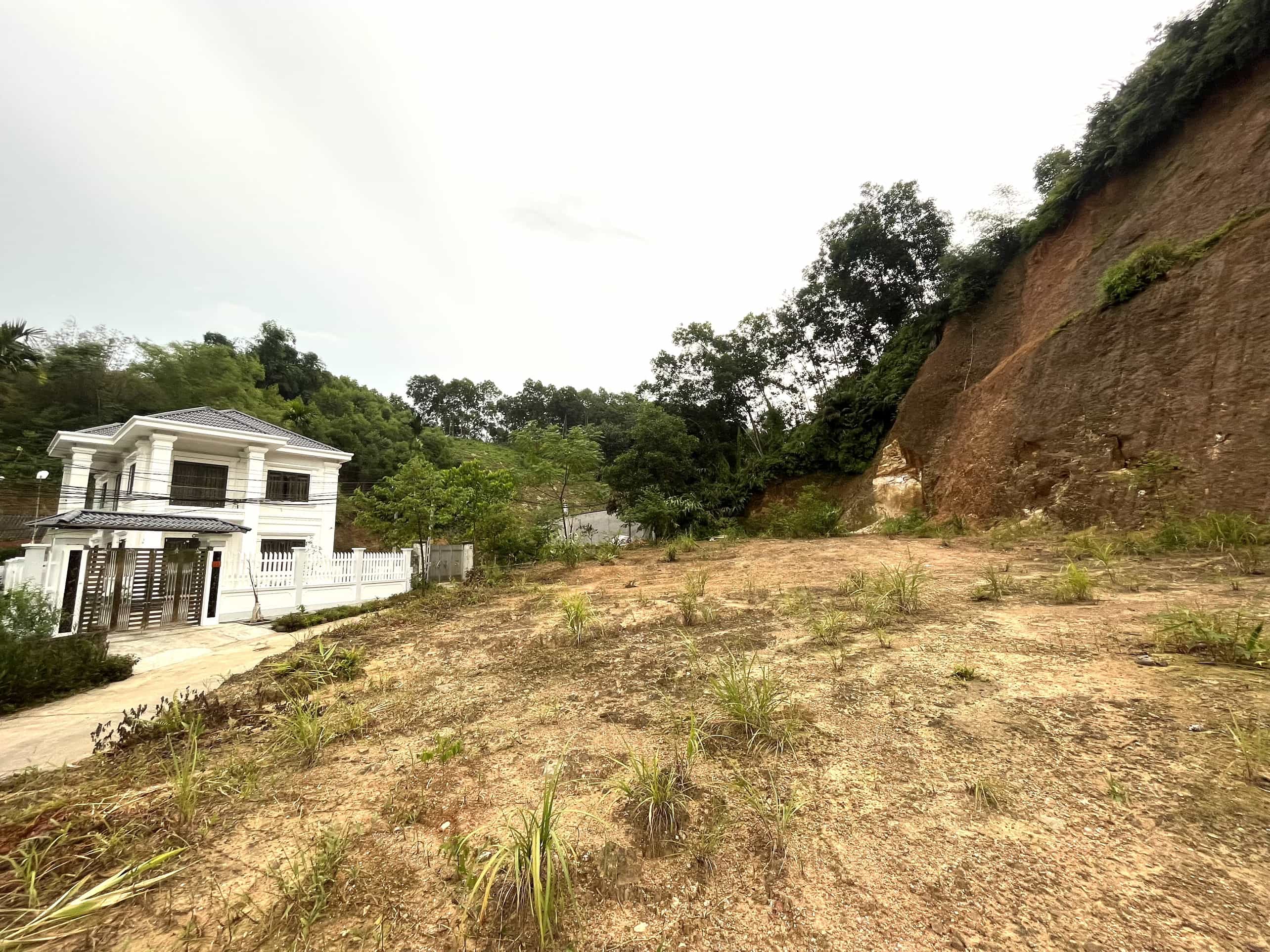 Bán lô đất 1586m2 rừng đã có mặt bằng 1000m2 mặt tiền 51m cách mặt đường Yên Ninh 300m