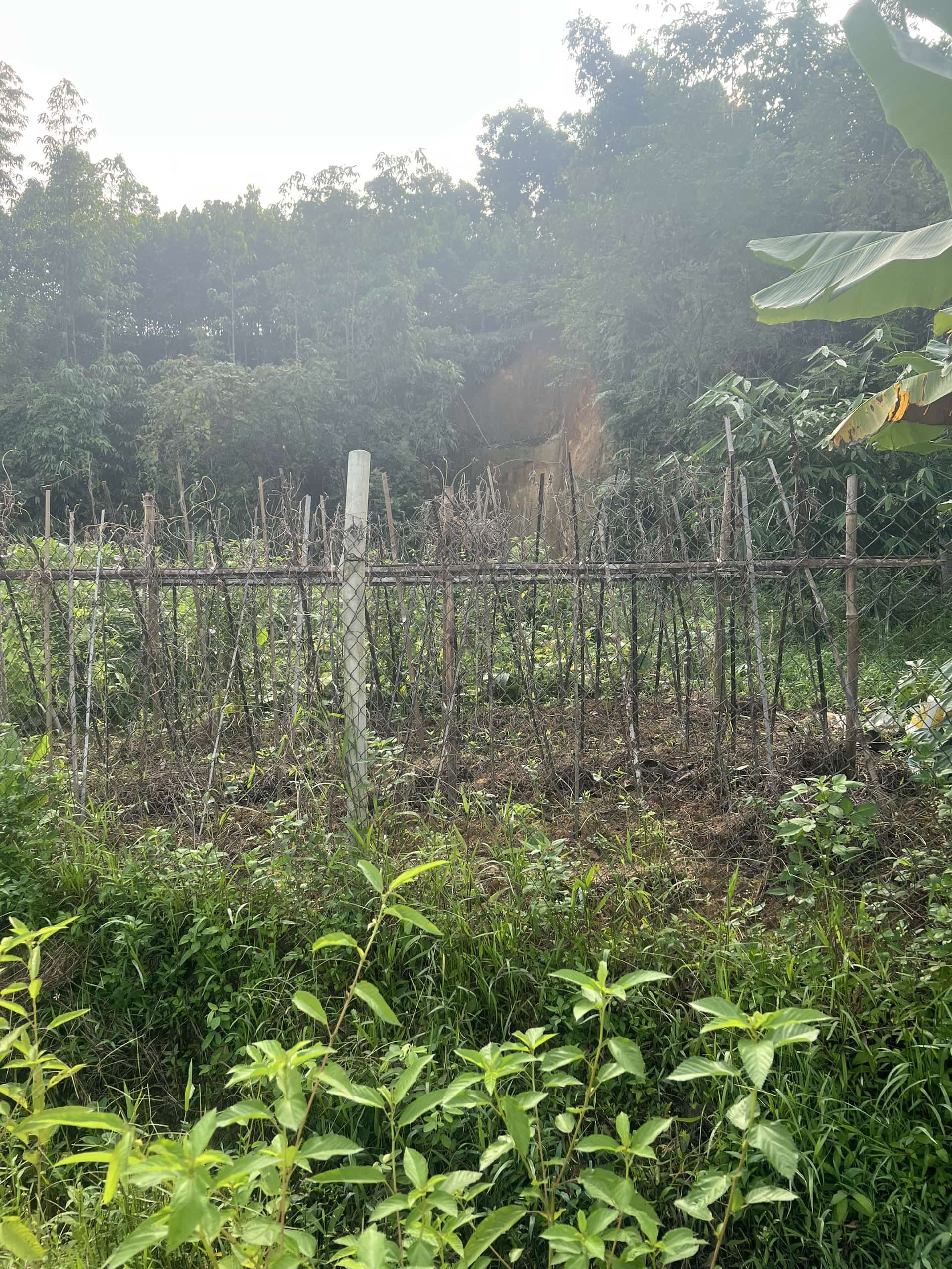 Bán lô đất phong thuỷ cực đep LƯNG TỰA SƠN MẶT HƯỚNG THUỶ tại hồ Điều Hòa Nam Cường