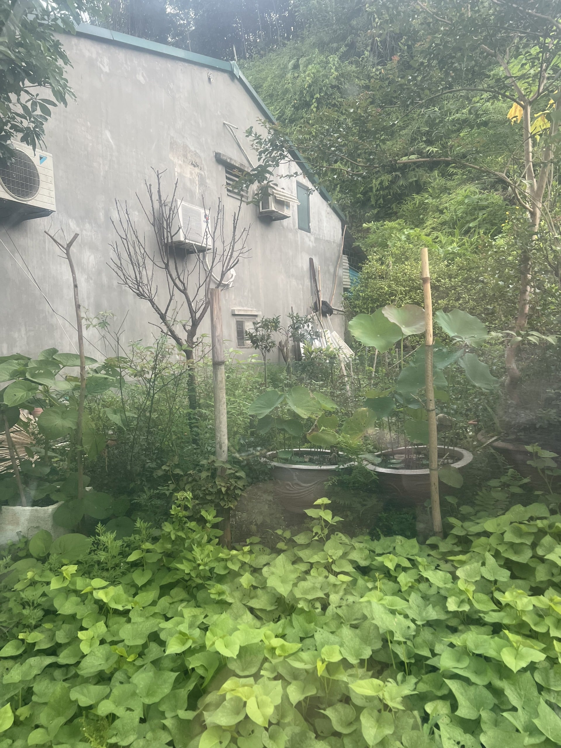 Bán mảnh đất tại ngõ 327 đường Kim Đồng trung tâm km3 tp Yên Bái