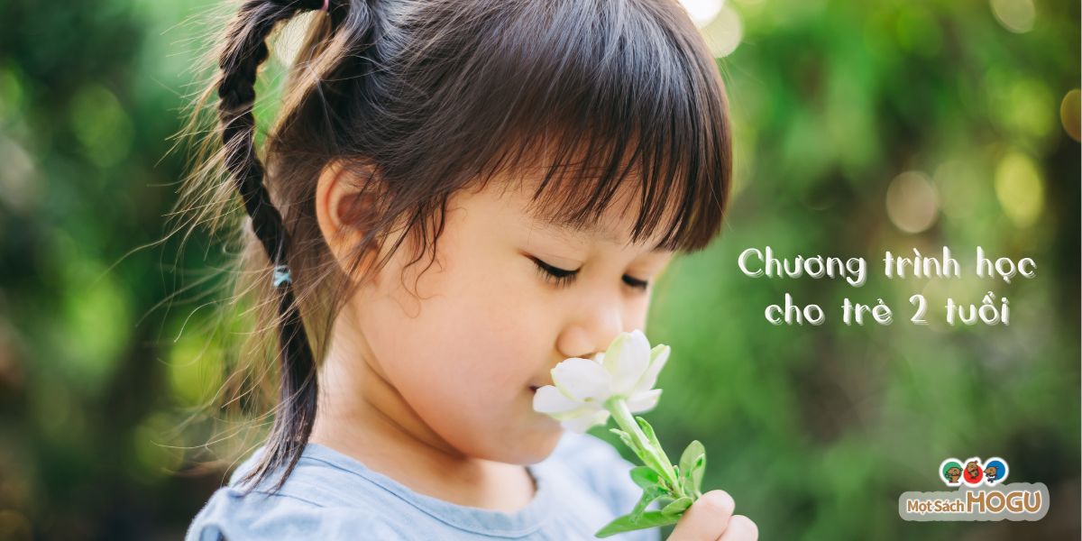 Chương trình học cho trẻ 2 tuổi gồm môn học nào?