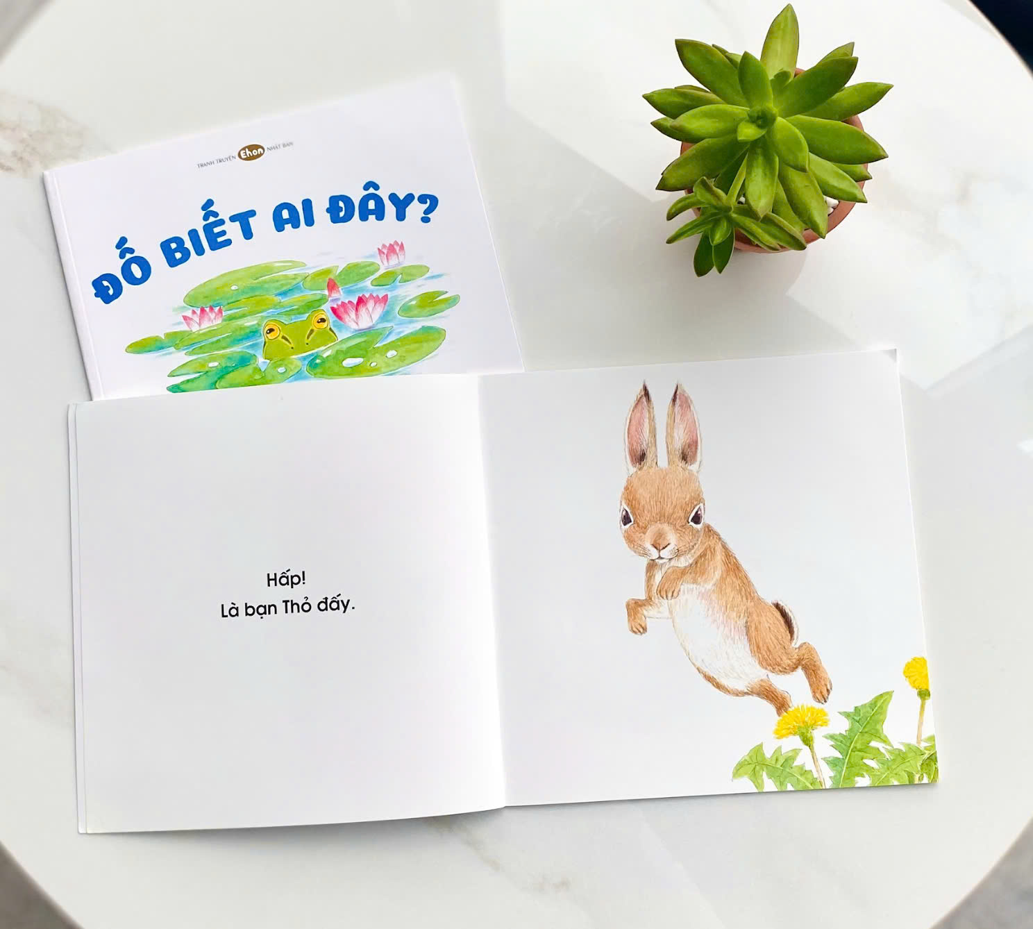 Bộ sách ehon cho bé 1 tuổi “Đố biết ai đây?”
