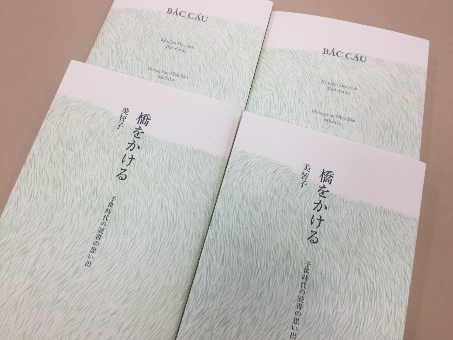 Bắc Cầu - Kỷ Niệm Đọc Sách Thời Thơ Ấu